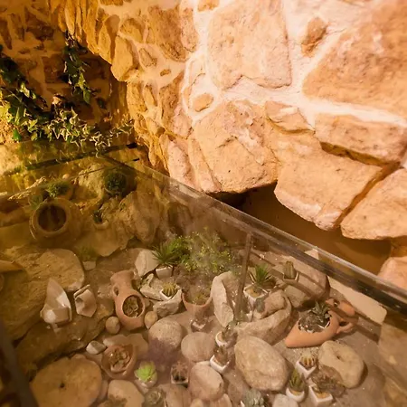 Degli Avi, In Museo Diffuso Appartamento Modica